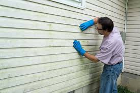 Best Siding Painting and Refinishing  in USA